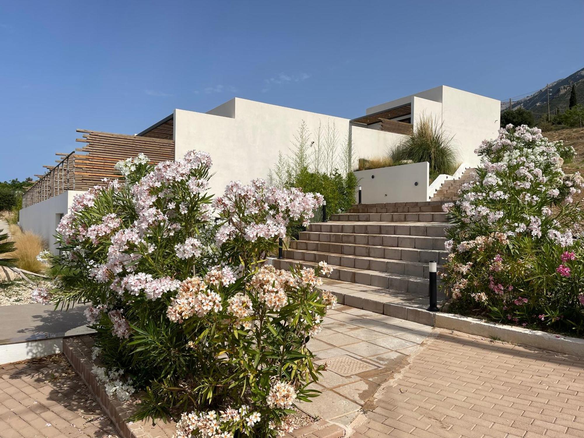 Kefalonian Escape Suites Valerianos Ngoại thất bức ảnh